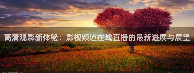 悟空影视在线观看视频：高清观影新体验：影视频道在线直播的最新进展与展望