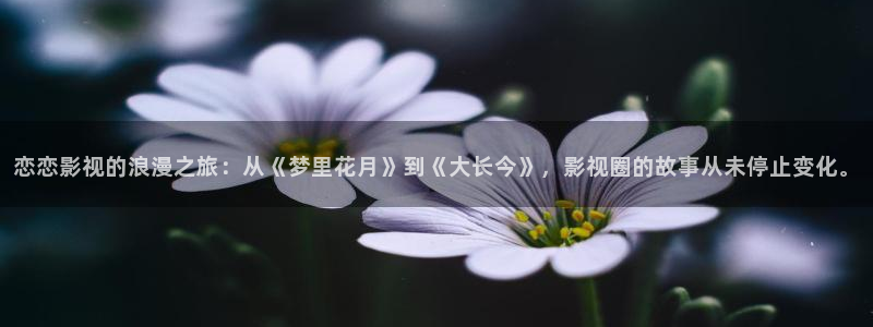 悟空影视免费高清：恋恋影视的浪漫之旅：从《梦里花月》到《大长今》，影视圈的故事从未停止变化。