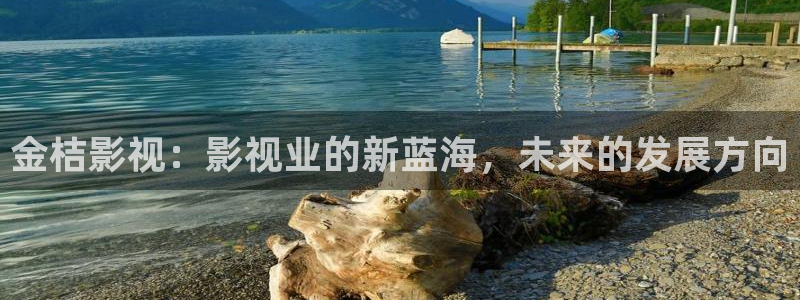 悟空视频影视免费：金桔影视：影视业的新蓝海，未来的发展方向