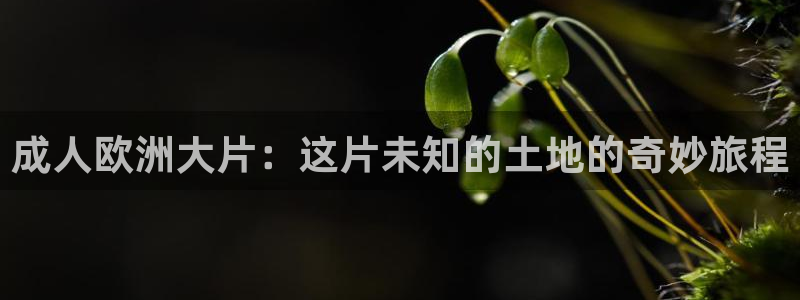 我出来了孙悟空视频：成人欧洲大片：这片未知的土地的奇妙旅程